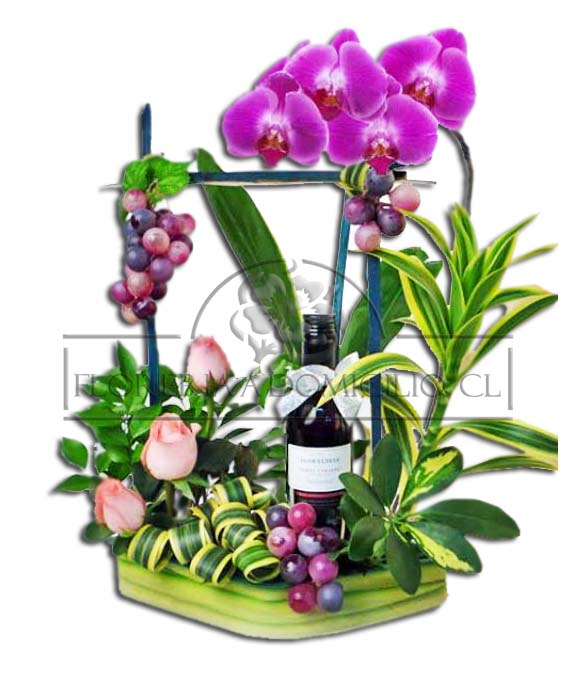 Dise�o en Orquidea